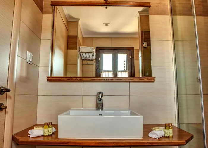 Pensión Elaion Terra Boutique 4*